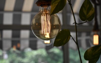 Luz artificial para crecimiento vegetal: ¿Cómo funciona?